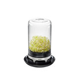 Sprouting Jar - Bivita