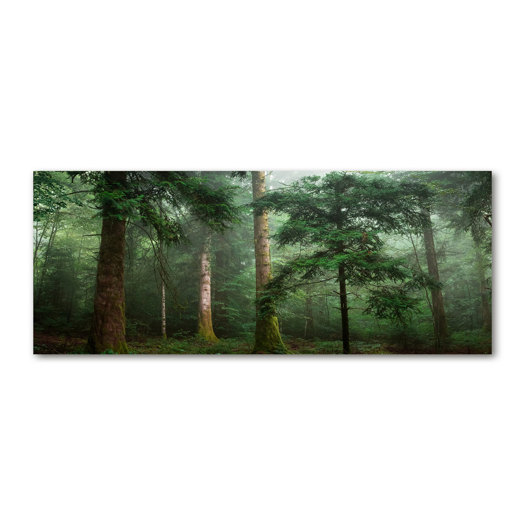 Nebel im Wald - Kunstdrucke auf Leinwand - Wrapped Canvas