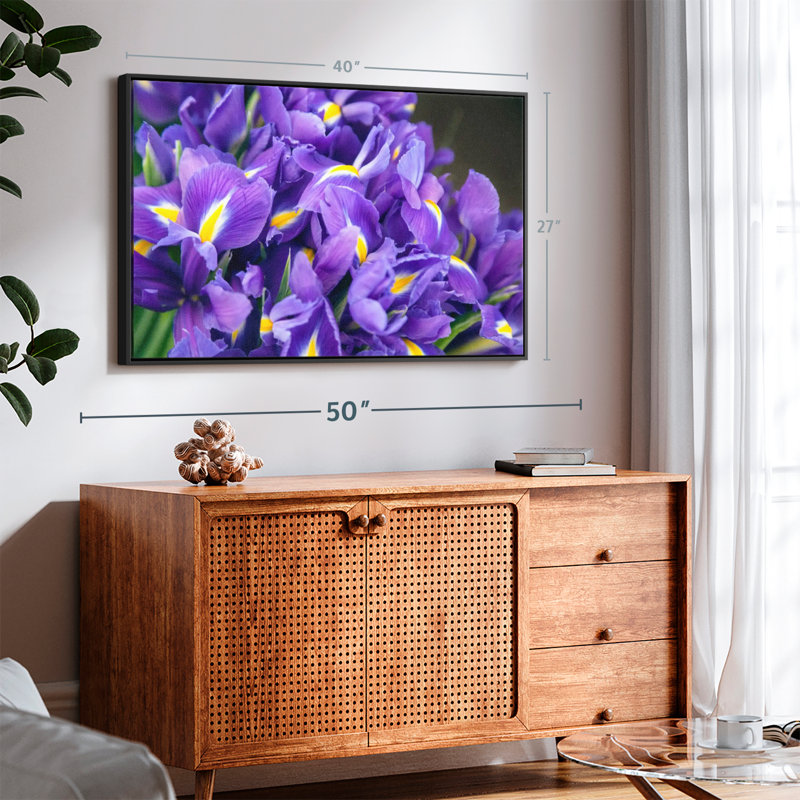 Violet Irises Canvas Print, 27" H x 40" W