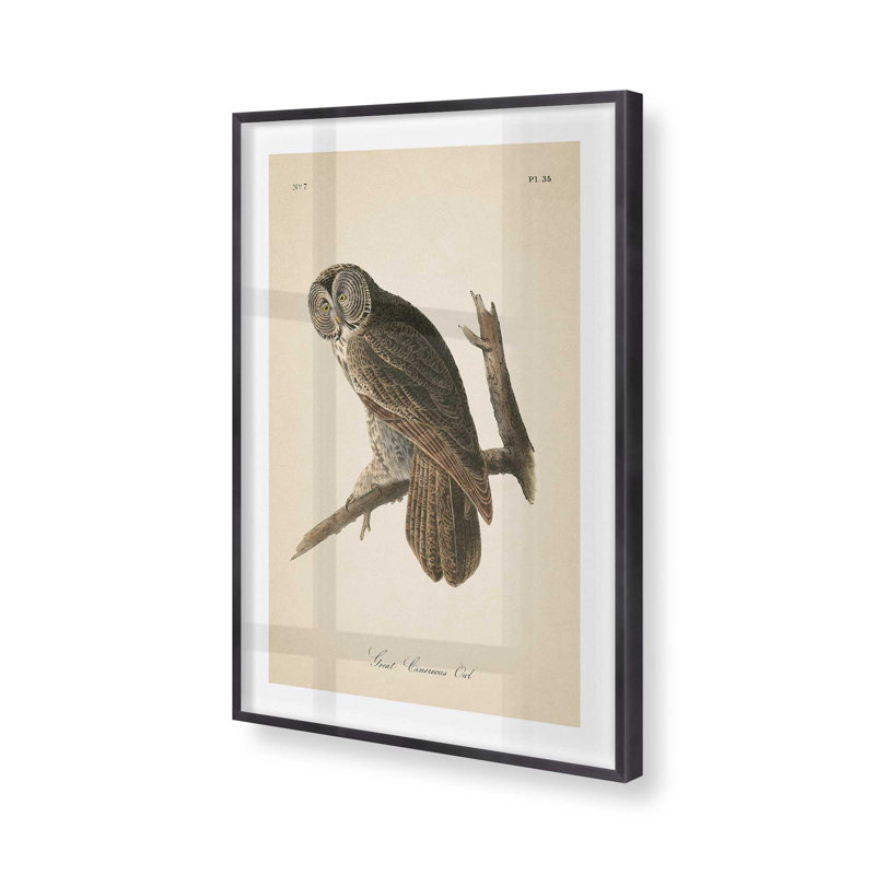 Impression d'un hibou perché dans un, Cadre en zinc patiné, H 15,25 po x l 12,25 po x P 1,25 po
