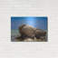 "Seychelles - Mahe" par AKG-1779470918