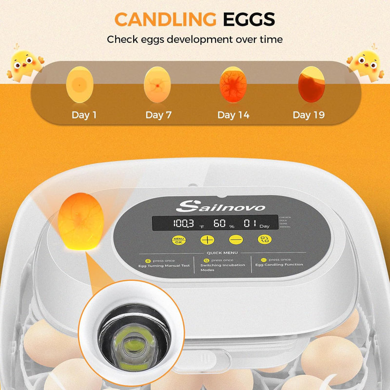 24 Chicken Egg Incubators with 4 Modes, 360° View Incubator with Automatic Egg Turning and Temperature Control Humidity Display, Digital Incubator for Chicken Quail Duck