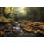 Black Floater Framed selected