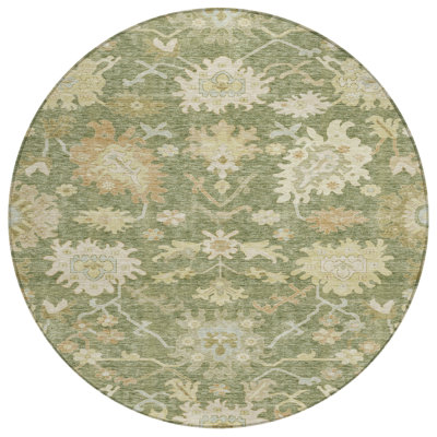 Louis Green Washable Indoor-Outdoor Rug - 