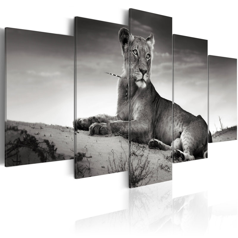 Lioness In A Desert - 5 Piece No Frame Print on Canvas, 100cm H x 200cm W