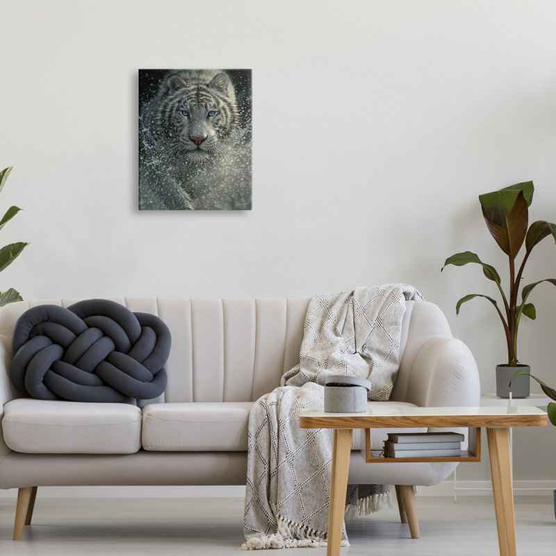" Fierce White Bengal Tiger Running Water Splashing Portrait " by Collin Bogle, Wrapped Canvas, 16" W x 20" H
