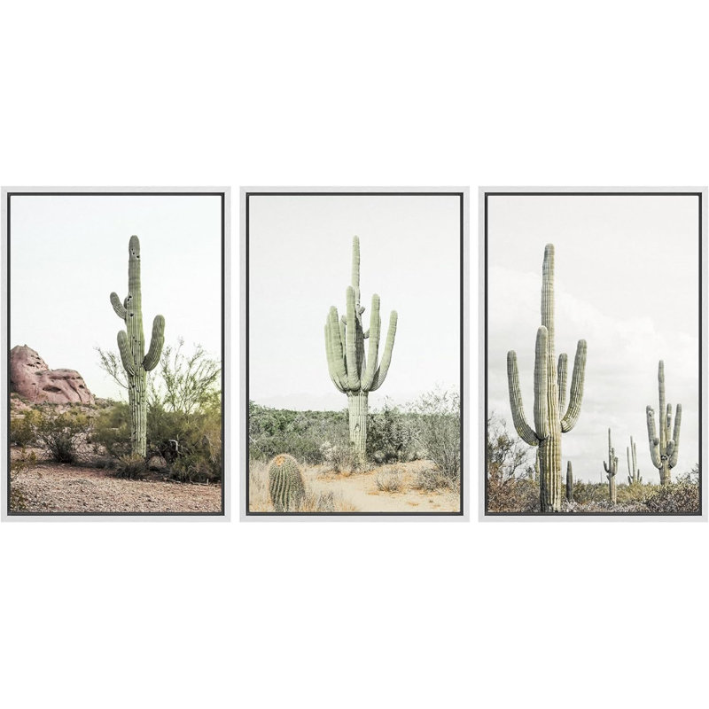 Cactus désert "Southwestern Green Saguaro, Cadre flottant blanc, H 36 po x l 72 po