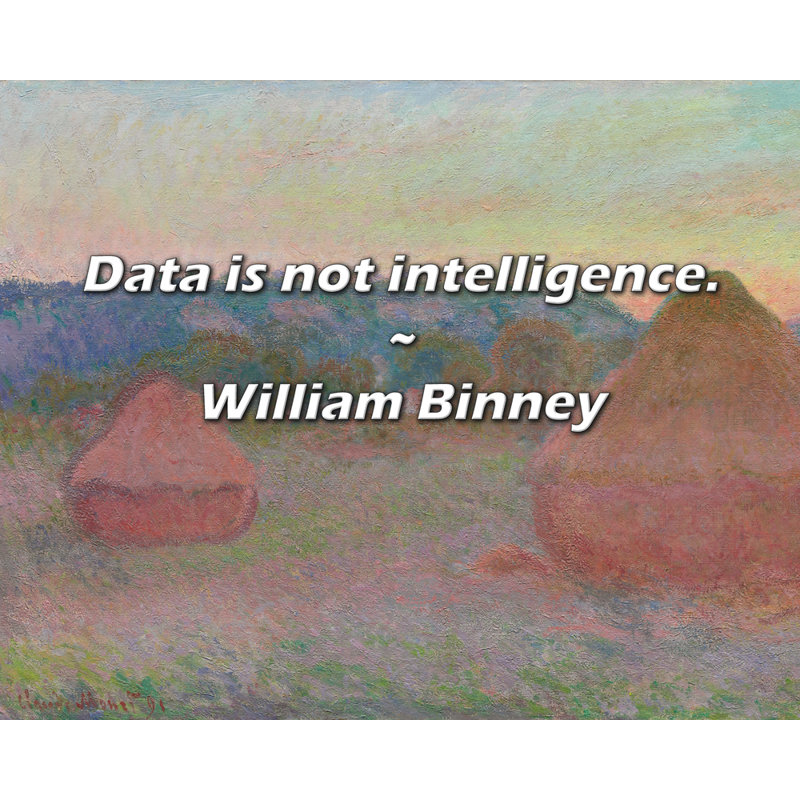 William Binney Citation: Les données ne sont pas des renseignements., H 20 po x l 24 po