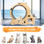 Indoor Cat Activity - Encourages Physical Movement Wheel For Playtime Withstands Daily Use