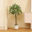 Adcock Artificial Ficus Tree with Round White Planter, Pre Potted Faux Money Tree for Home Decor-298643299
