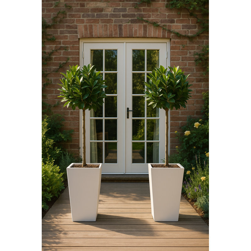 Haylie Square Tapered Garden Planter, Frostproof Concrete Effect, Indoor and Outdoor Plant Pot with Drainage Hole, White