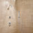 Rizon Shower Head with Handle and Posi-Temp-402302733