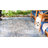 Amedee Performance Oriental Indoor/Outdoor Area Rug-1435001362
