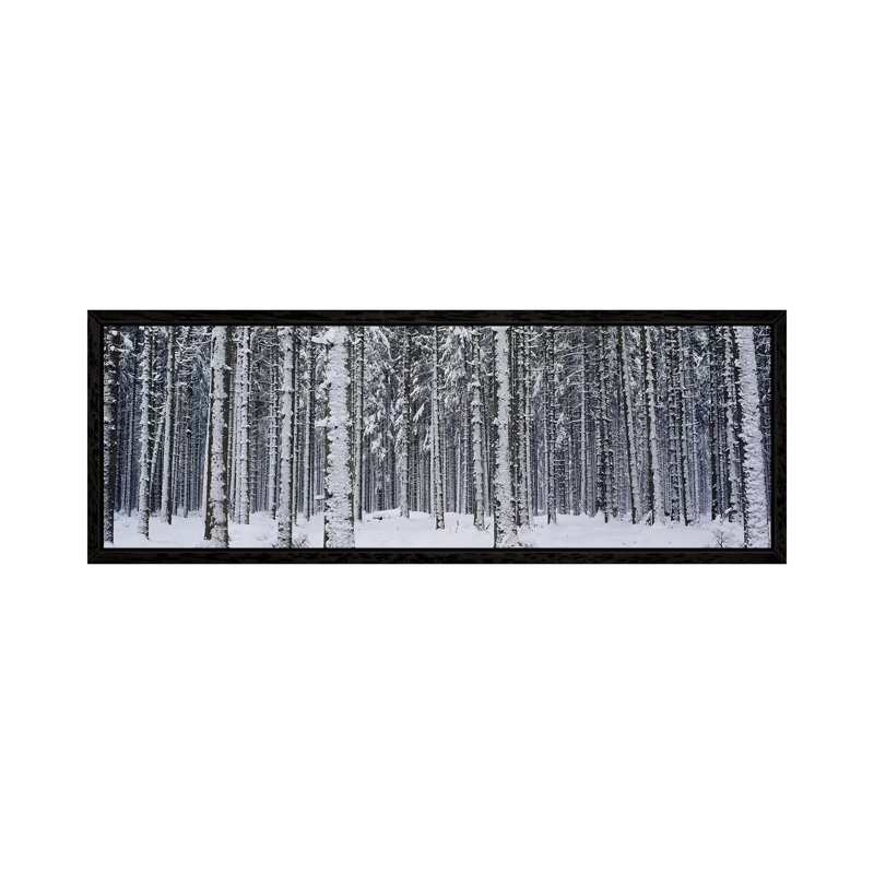 Snow Covered Trees In A ForestAustria by Panoramic Images - Panoramic Gallery-Wrapped Canvas Giclée on Canvas