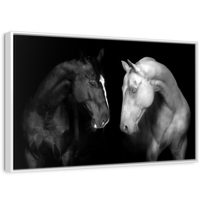Chevaux monochromes