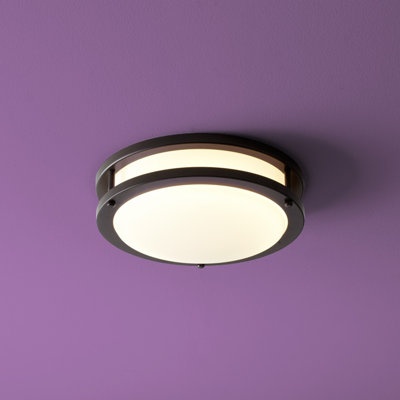 Oracle Acrylic Flush Mount