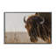 Bison Sunset on Golden Prairie, giclée encadrée, design par Nathan Larson-130751150-130751149