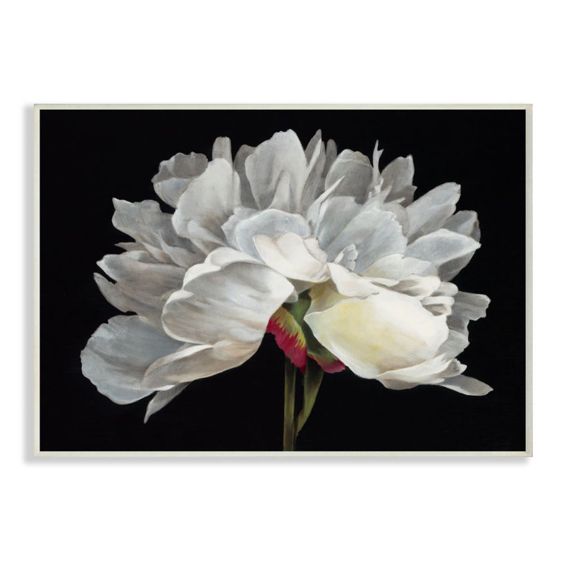 «Minimal White Flower Petal Détail Floral Design» par Liz Jardine, impression, Plaque murale, H 10 po x l 15 po