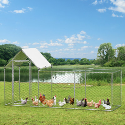 Automatic Chicken Coop Door