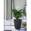  Grand pot de fleurs noir nervuré, pot d'intérieur avec finition texturée, aspect pierre de PVC léger pour décoration moderne de maison et de bureau, diamètre de 14,5 po et hauteur de 19 po