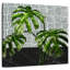 Harnek Monstera feuilles sur marbre noir et carreaux-109228627