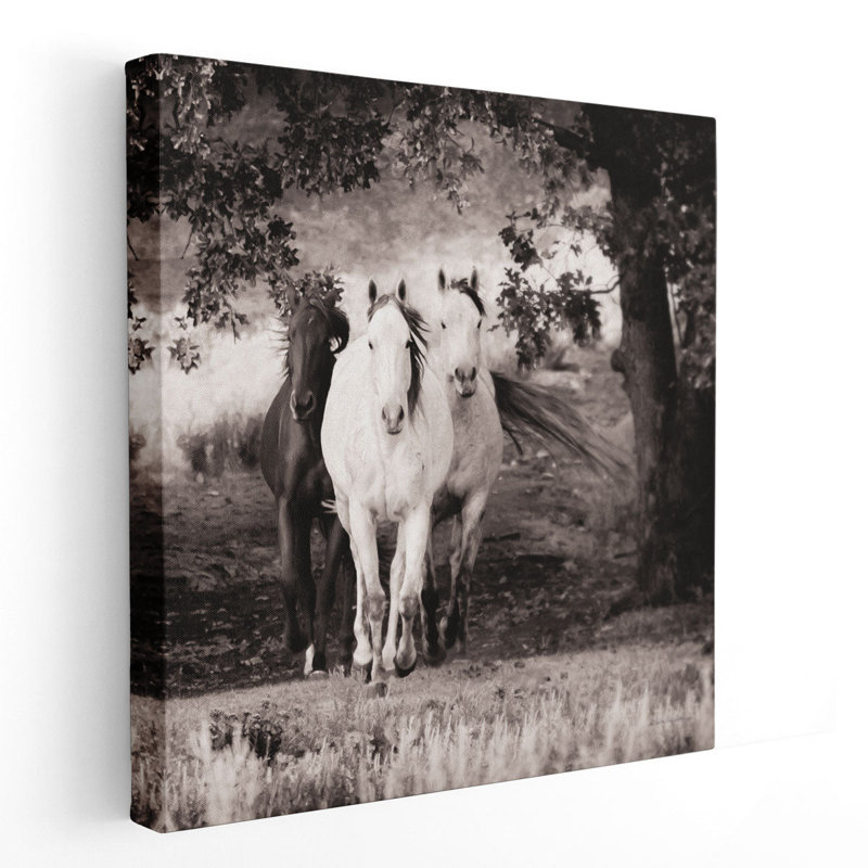 Three Wild Horses Sepia - reproduction d'art sur toile, H 12 po x l 12 po