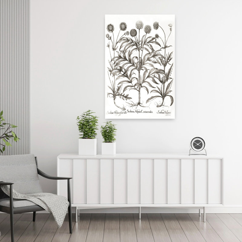 Art floral contemporain Scabiosa, H 36 po x l 24 po