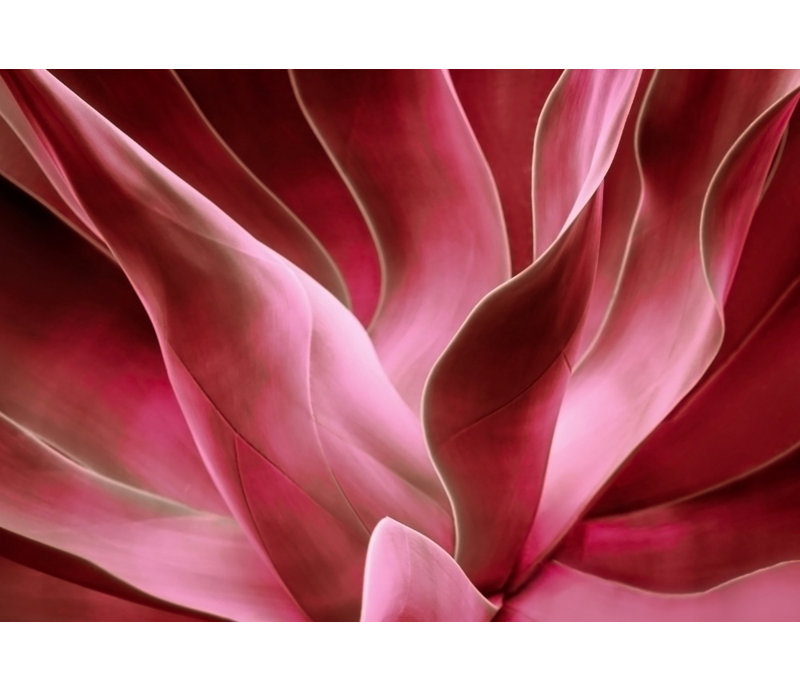 Wrapped Canvas Print, 81.28 cm H x 121.92 cm W