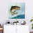 Brampt Bass-109164498