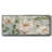 Summer Serenade- Framed Canvas-10762534