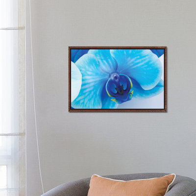 Blue Orchid I by Glauco Meneghelli - Print on Canvas