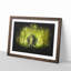 Marvellous Elephant in a Green Forest - Picture Frame Painting Print-56842917-56842914