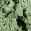 Cristal Beton
