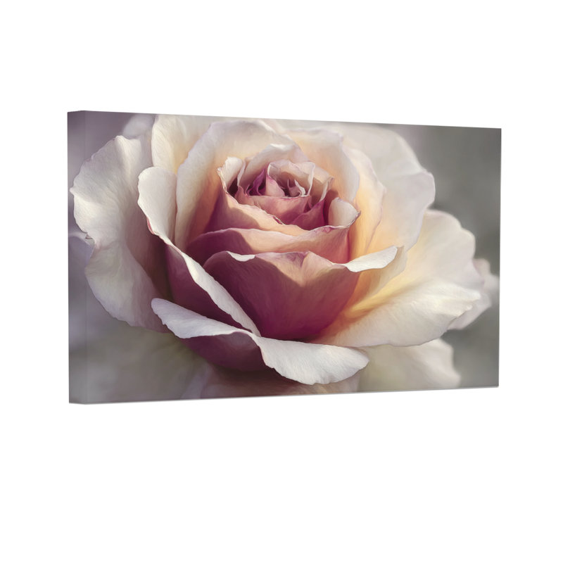 Plantes et fleurs, rose doux, impression sur toile florale, H 12 po x l 18 po