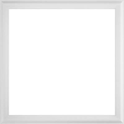 Ashford Molded Classic Wainscot Wall Panel