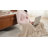 67'' Upholstered Velvet Storage Bench for Bedroom End with Button-Tufted Seat and Roll Arms-1408661906