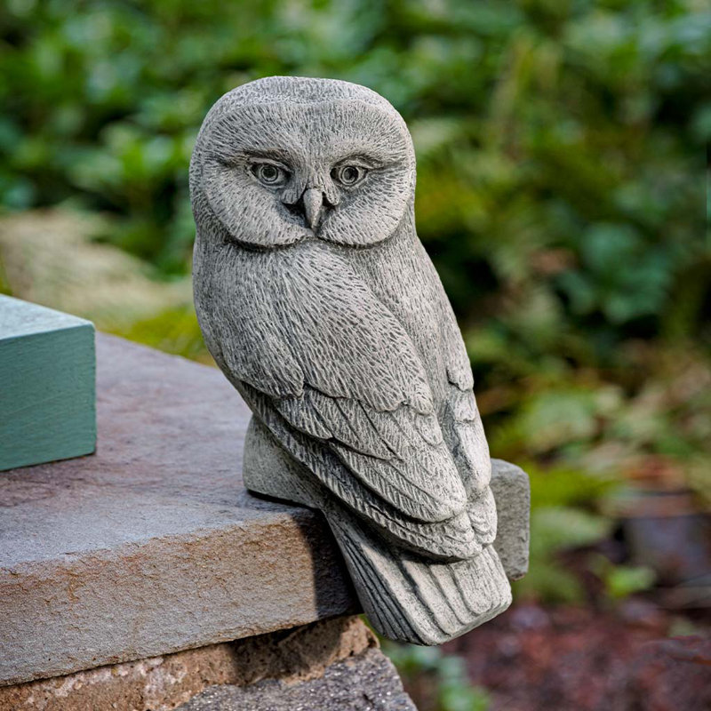 Chouette lunaire - Hibou seulement