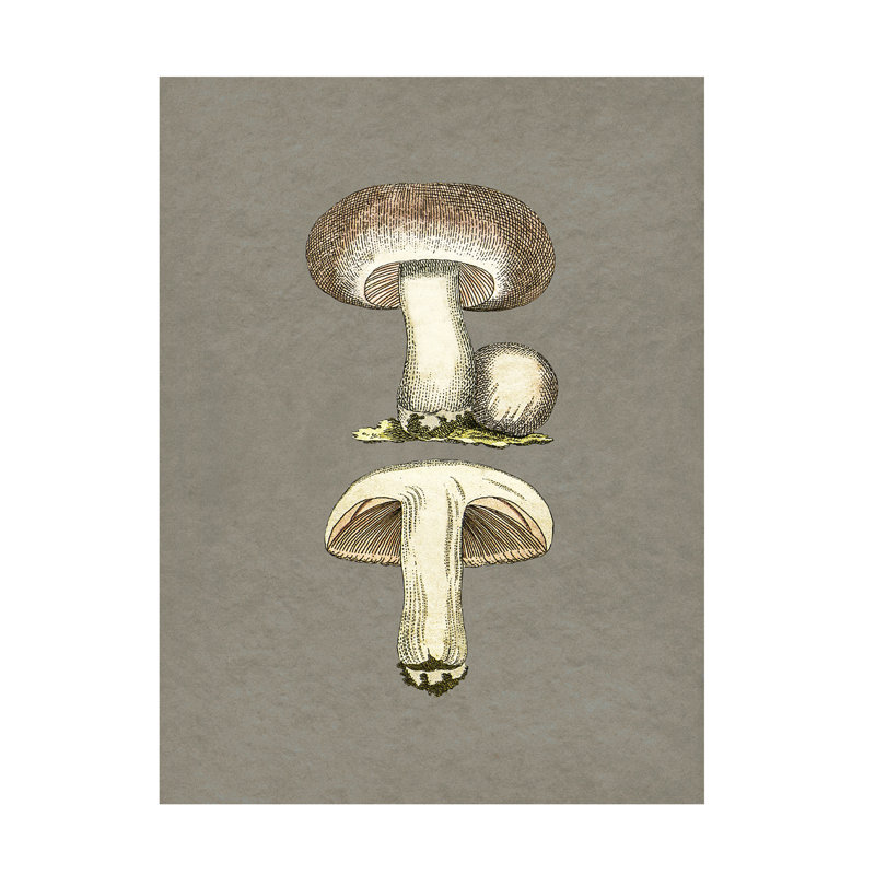Art sur toile champignon de pictufy, H 47 po x l 35 po x P 2 po