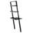 Danikka Ladder