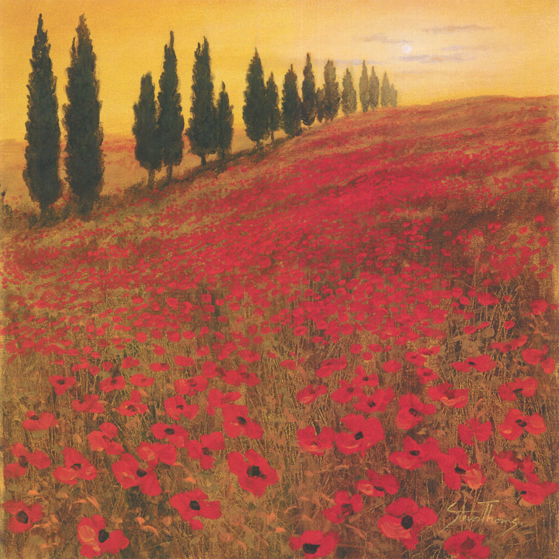 Poppies