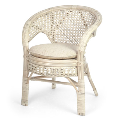 Clemensa Arm Chair in Colonial by Bay Isle Home