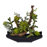 9'' Faux Succulent in Ceramic Pot