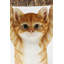 Side Table Animal Ms Cat 33cm