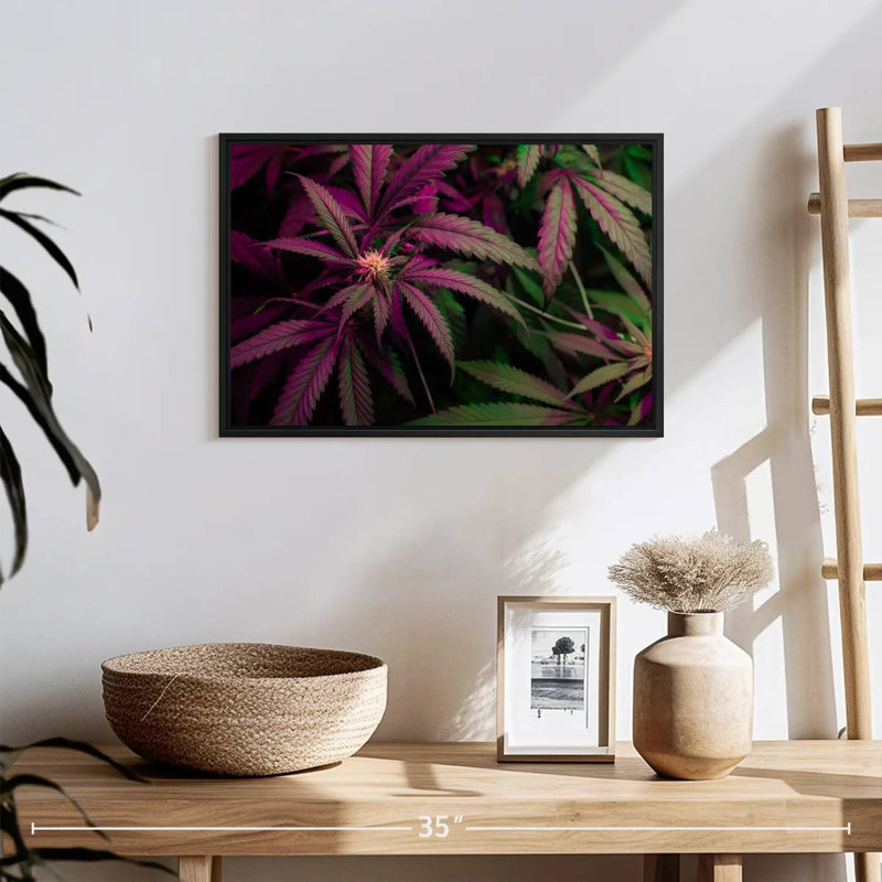 Lavande, marijuana, 19 po x 13 po, Cadre flottant noir