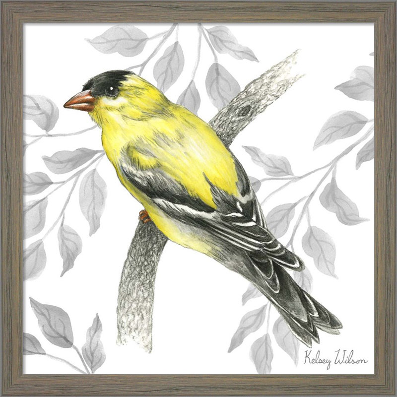 «Backyard Birds B by», ensemble de 2 reproductions de cadres photo