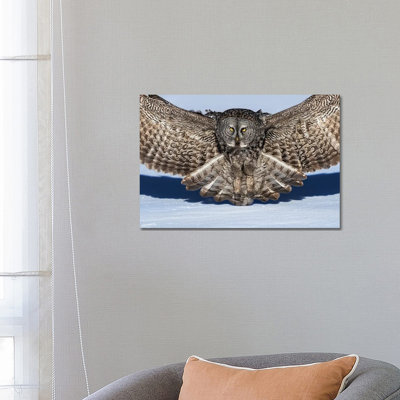 Great Grey Owl by Jun Zuo - Wrapped Canvas Print