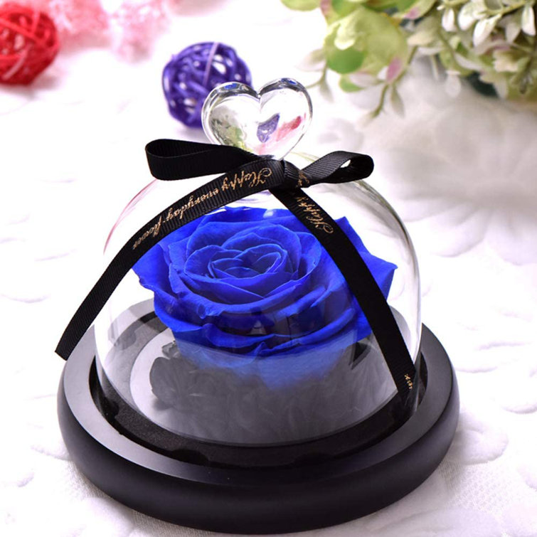 Preserved Real Roses Eternal Rose Never Withered Flowers for Anniversary Home Decor Abbie Home Flowers/Leaves Color: Royal Blue