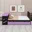Space-Saving Daybed with Trundle, Integrated Desk and USB Ports