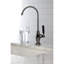 Water Onyx Cold Water Filtration Faucet