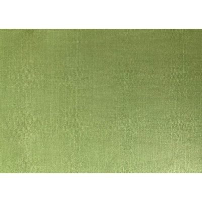 Studio Moss